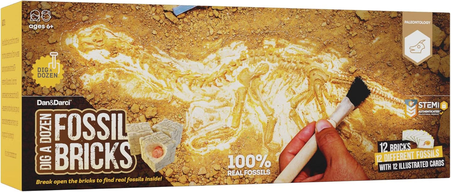 Dan&Darci Dig a Dozen Fossil Bricks - Break Open 12 Blocks and Discover 12 Unique Real Fossils - Basket Stuffers Archaeology Science STEM - Birthday Gift