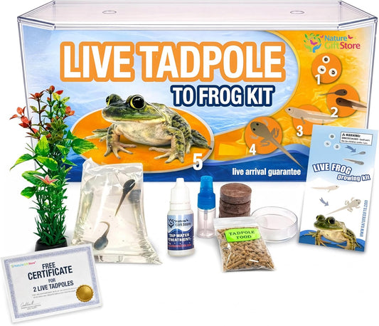 Tadpole to Frog Starter Kit - Includes Certificate for 2 Live Tadpoles - All-in-One Bundle with Habitat, Food, Instructions - Ideal for Education and Home Observation
