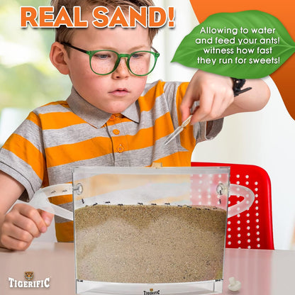 Ant Farm for Live Ants - Real Sand Ant Colony Kit for Kids -Fun Science Habitat Set for Children, Watch Ants Dig Tunnels, Carry Sand, Hide and Drag Their Food