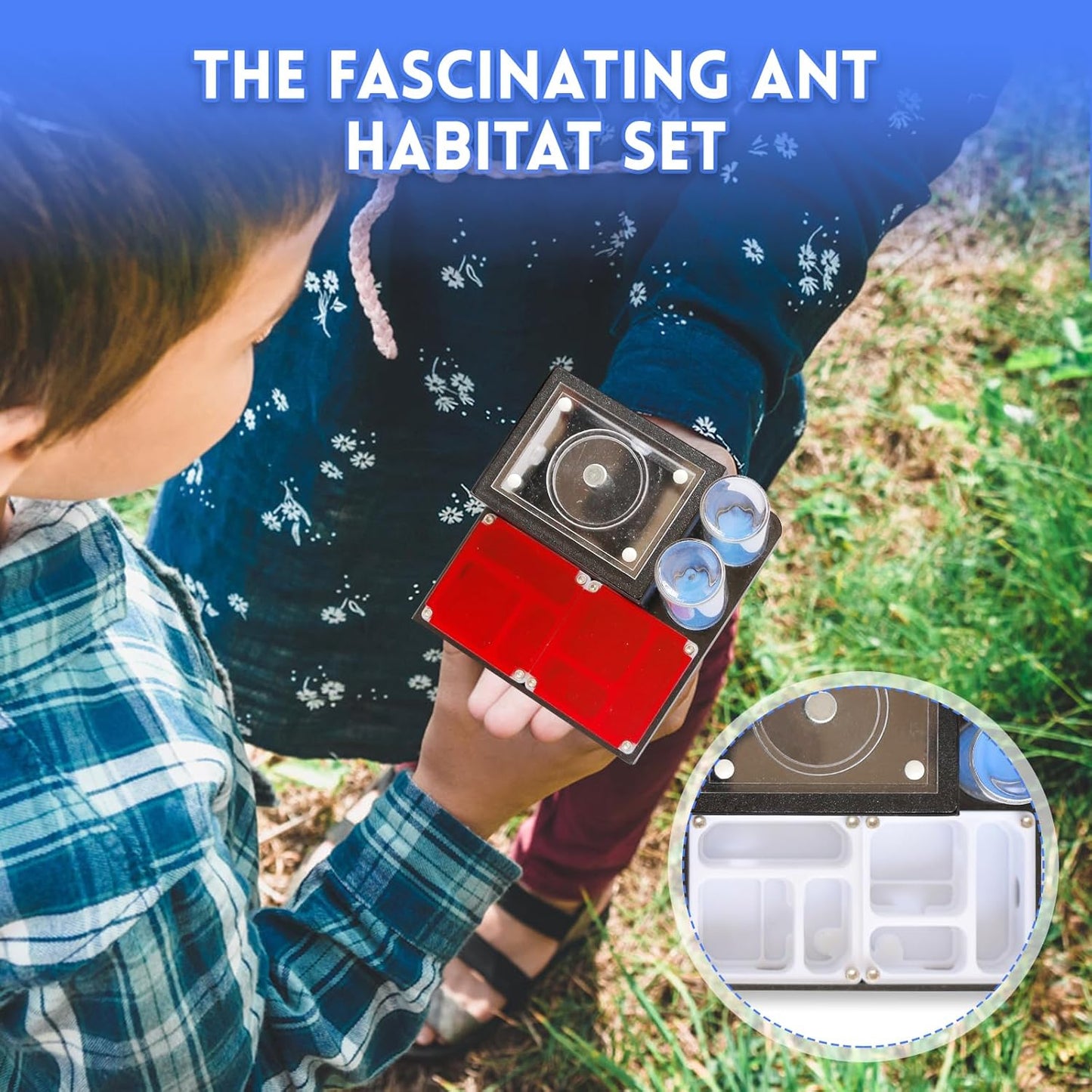 Ant Farm Nest - Educational Habitat - Black and White Acrylic Design with Built-in Water Tower and Clear Observation Area (S)