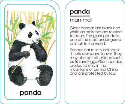School Zone Animals of All Kinds Flash Cards: 56 Cards, Preschool, Kindergarten, Animal Names & Classes, Animal Facts, Word-Picture Recognition, Ages 4+
