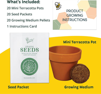 BUZZY Seeds Terracotta Mini Grow Pots – Herb Flower Plant Starter Kit Assorted 20-Pack with Lavender Seeds, Indoor Grow Your Own Gardening Gift for DIY Projects and Party Favors