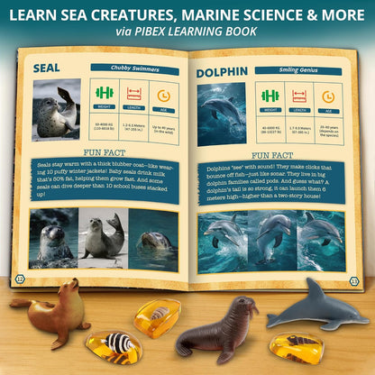 PIBEX Under-The-Sea Dig Kit – Dig & Discover 18 Real Shell Fossils, Amber Jewelry & Sea Animal Creatures – Ocean Necklace Making & STEM Excavation Activity Toy for Kids Ages 6+