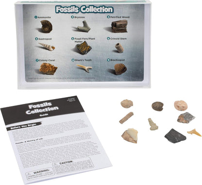 Educational Insights Complete Rock, Mineral, & Fossil Collection - Educational Science Kits for Kids, Classroom Rock Collection, Geology Kit, STEM Sets and Gifts for Boys and Girls Ages 8+