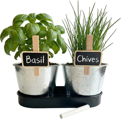 BUZZY Seeds Pollinator Garden Grow Kit with 2 Galvanized Metal Pots, Black-Eyed Susan and Coneflower Seeds, Growing Medium, Plant Markers, Chalk and Easy Instructions, Great Gift for Plant Lovers