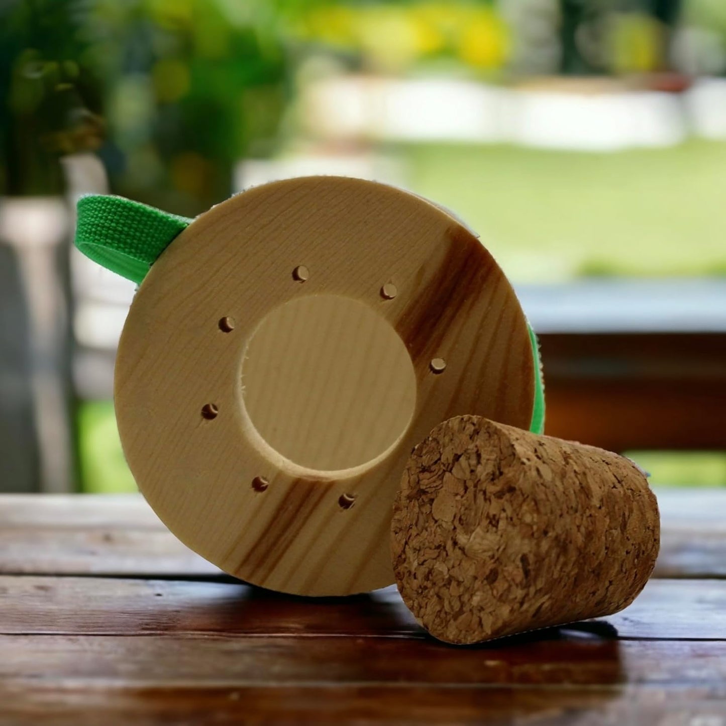 Wooden Bug Box for Kids, Dual Chamber Insect Habitat with Nylon Carrying Strap