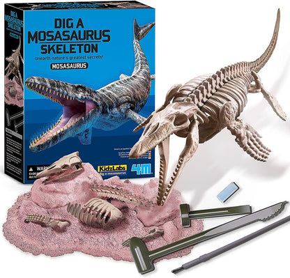KidzLabs Dig a Pteranodon Skeleton Kit, Fossil Excavation Set, Ages 8+, 1 Piece