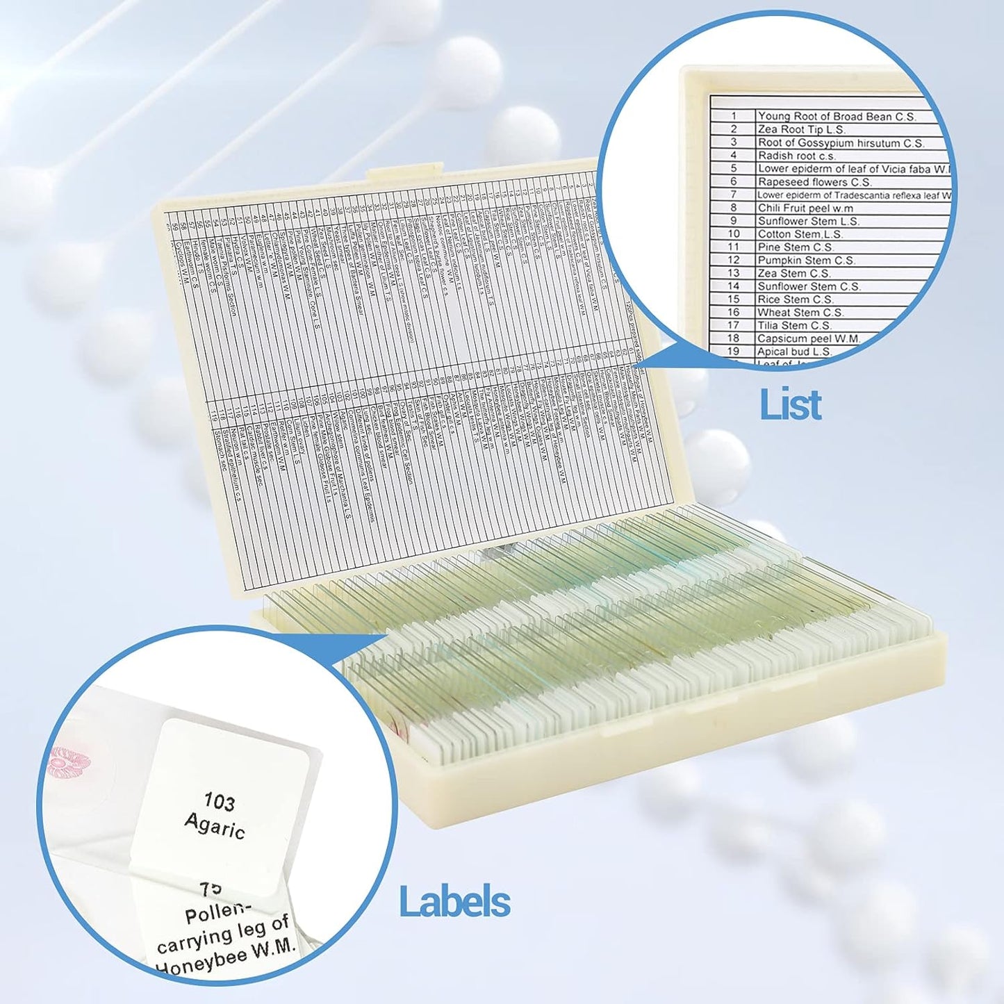 30 Microscope Slides with Specimens for Kids, Prepared Microscope Slides for Kids Microbiology, Glass Slides for Microscope, Biology Gifts for Adults Kids