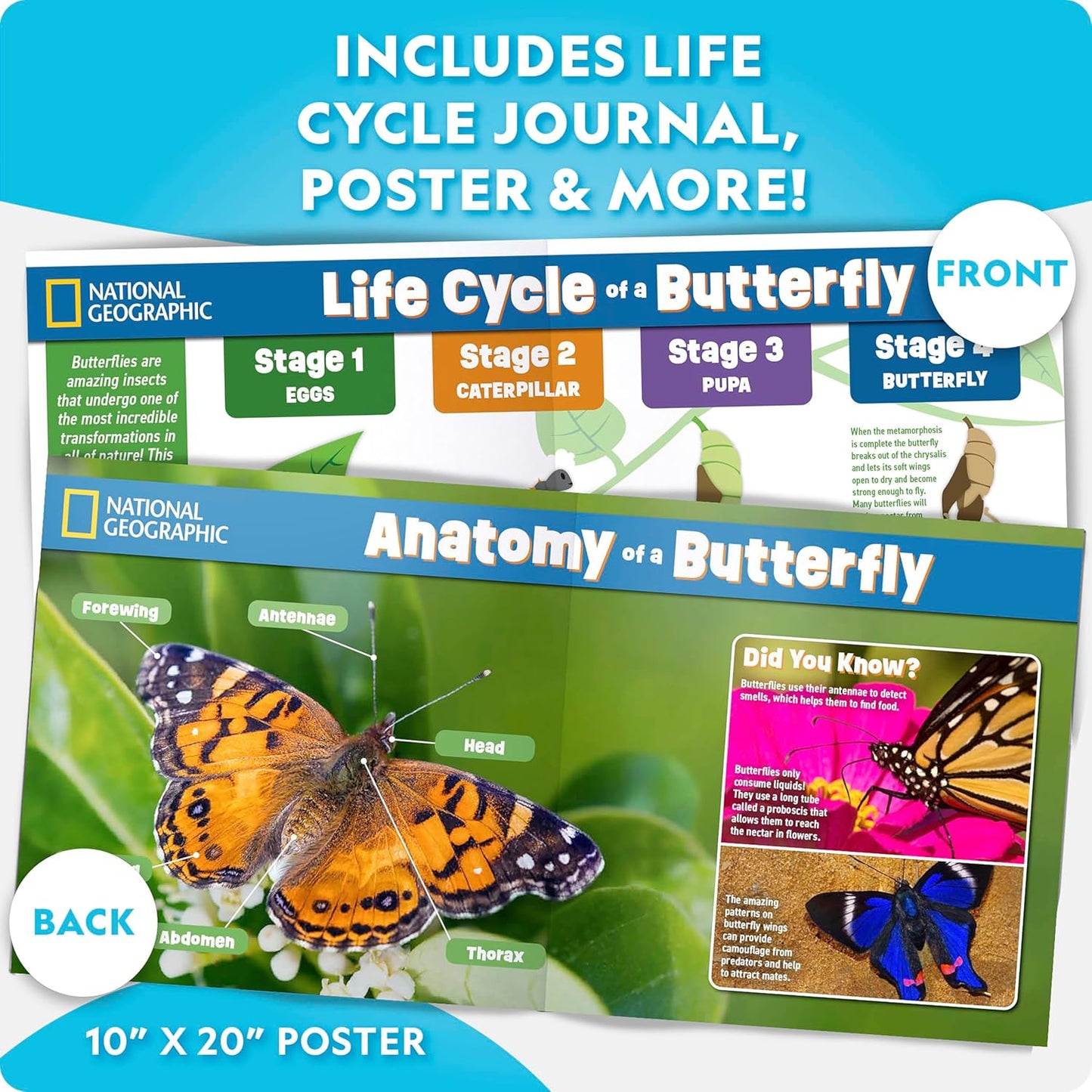 National Geographic Butterfly Growing Kit - Butterfly Habitat Kit with Voucher to Redeem 5 Caterpillars (S&H Not Included), Butterfly Cage, Feeder (Amazon Exclusive)