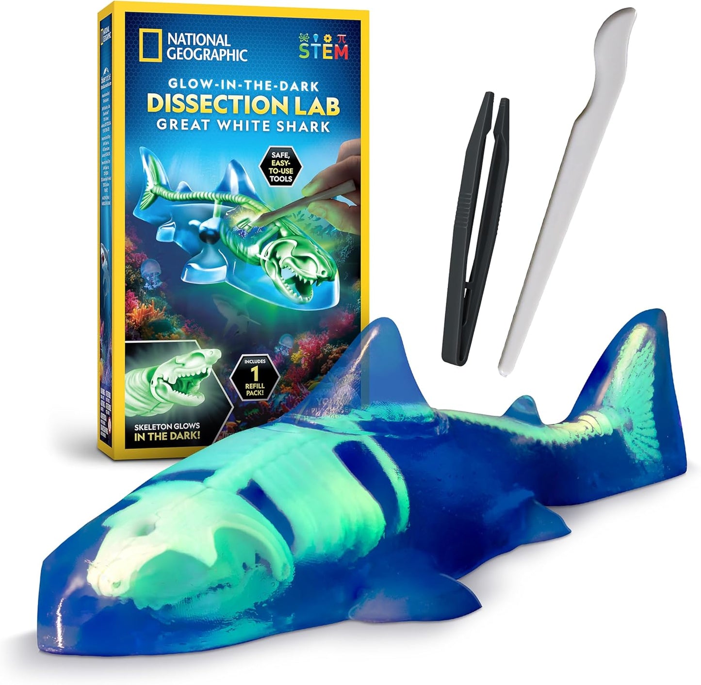 National Geographic Shark Dissection Kit – Glow in the Dark Great White Shark Anatomy Lab with 12 Bones & Organs, Refill Pack, Kid-Friendly Tools & Learning Guide