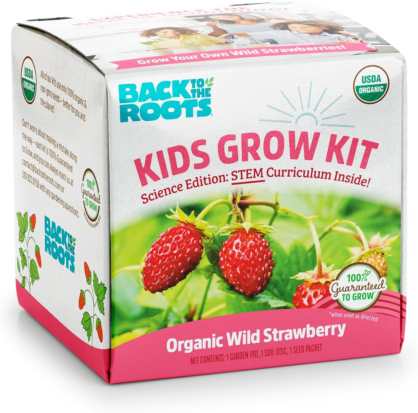 Back to the Roots Terrarium Grow Kit - Easy-to-Use DIY Set for All Ages Small