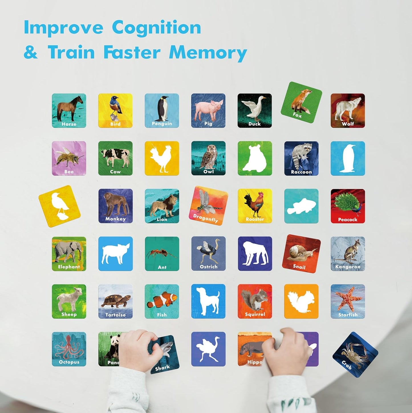Hebayy 72 PCS Memory Matching Game, Real Animal Matching Cards for Toddlers 36 Pairs Memory Cards for Preschool 4 5 6 Years Old