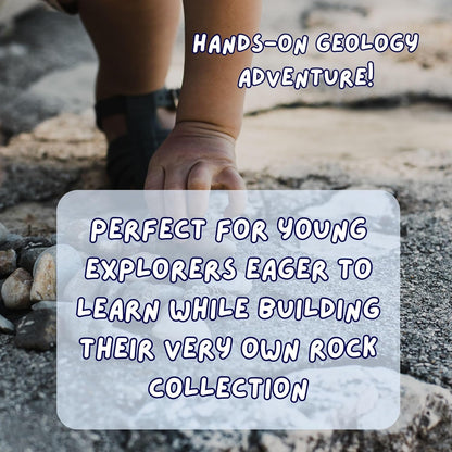 STEM Toy Rock Science Kit Geology Mineral Specimen For Kid Geologists