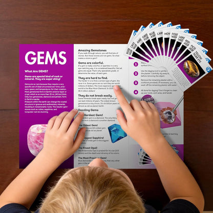 Gamerside Gemstone Dig Kit, Dig Up 12 Real Rocks and Minerals, Gem Digging Kit, Toy Geology Archaeology Excavation Kits for Kids Age 6-12 Years, Educational Gift for Boys and Girls