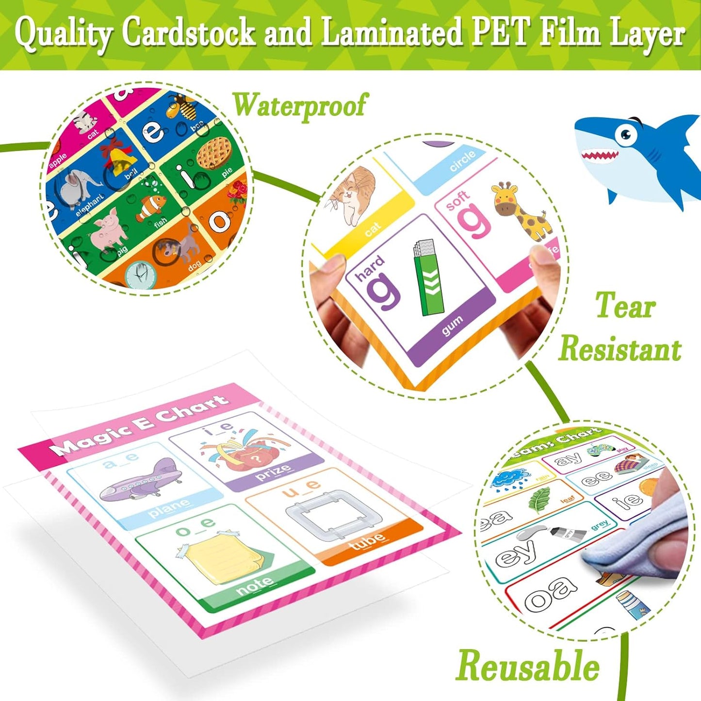 gisgfim 12 Pieces English Phonics Language Posters Decorations for Word Wall Phonics Charts for Alphabet Flash Cards Materials
