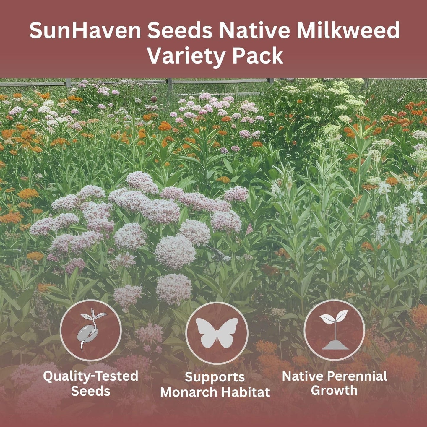 Native Milkweed Variety Pack - 5 Essential Species for Monarch Butterfly Gardens - Common, Swamp, Butterfly Weed, Showy & Narrowleaf - Non-GMO Native Wildflower Seeds for Pollinators