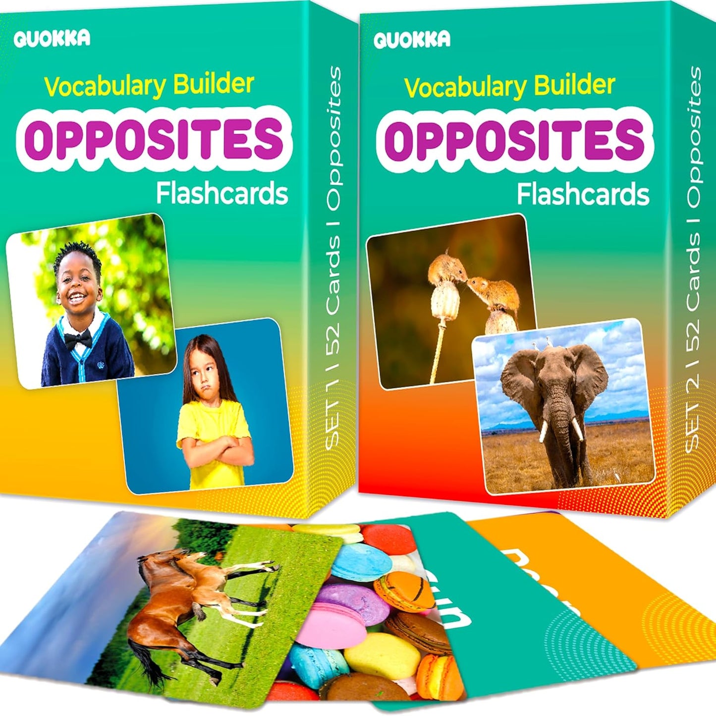 QUOKKA 104 Noun Flash Cards Set – Kids and Adults Vocabulary Builder for ABA Therapy, Early Childhood Education, and ESL Teaching – Picture Cards for Speech Therapy and Vocabulary Building Activities