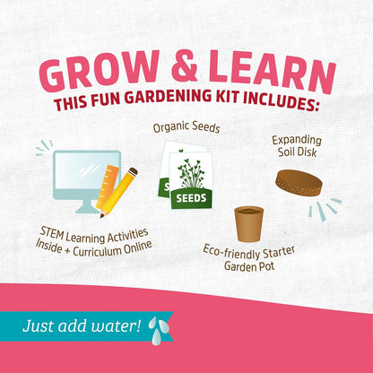 Back to the Roots Terrarium Grow Kit - Easy-to-Use DIY Set for All Ages Small
