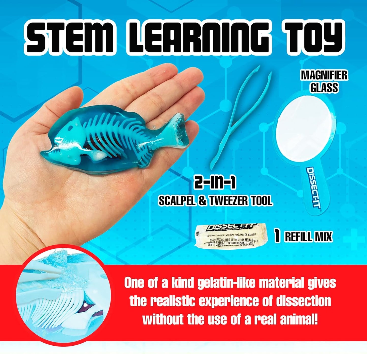 Dissect-It Discover-It Dinosaur Dig Kit, Dissecting Gel Kids Science Kit Project to Learn Anatomy, STEM Toys for Ages 6 and Above
