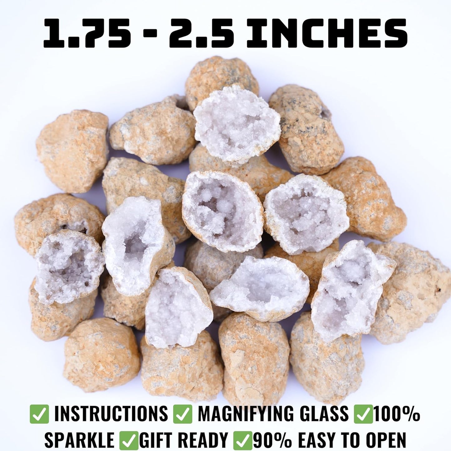 TruEnergy Jumbo Break Your Own Geodes – 2 Massive Natural Crystal Geodes 4.5 to 6.5 Inch, Easy Crack-Open Geology Specimens – Magnifying Glass & Geologist Guide – Gift Ready - [Jumbo]