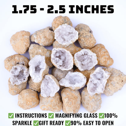 TruEnergy Jumbo Break Your Own Geodes – 2 Massive Natural Crystal Geodes 4.5 to 6.5 Inch, Easy Crack-Open Geology Specimens – Magnifying Glass & Geologist Guide – Gift Ready - [Jumbo]