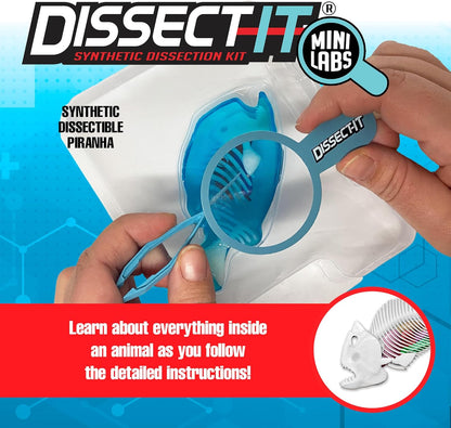 Dissect-It Discover-It Dinosaur Dig Kit, Dissecting Gel Kids Science Kit Project to Learn Anatomy, STEM Toys for Ages 6 and Above