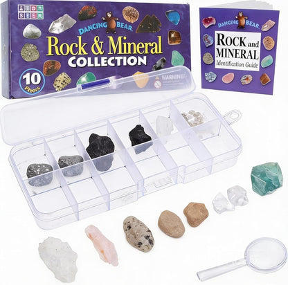 Alipis Rock Collecting Kit for Kids 10 Piece Mineral Specimens Set with Portable Organizer Box Educational Geology Science Kit for Classroom and Home Learning