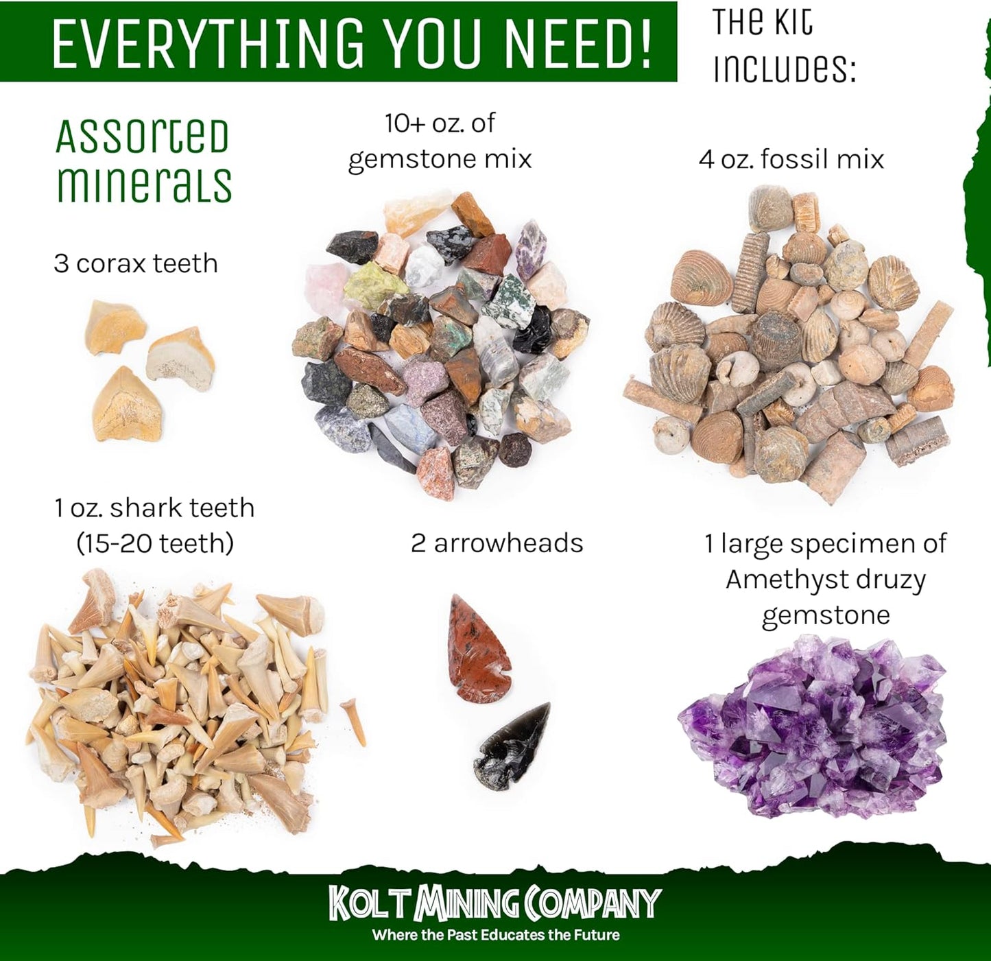 Activity Dig Kit - Adult Geology & Mineralogy Set - Includes Real Fossils, Arrowheads, Shark Teeth, Crystals, Rocks & Gemstones