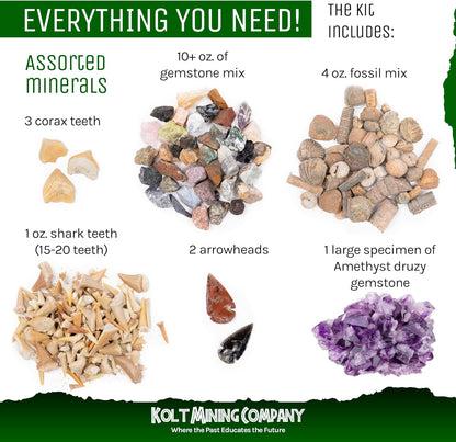Activity Dig Kit - Adult Geology & Mineralogy Set - Includes Real Fossils, Arrowheads, Shark Teeth, Crystals, Rocks & Gemstones