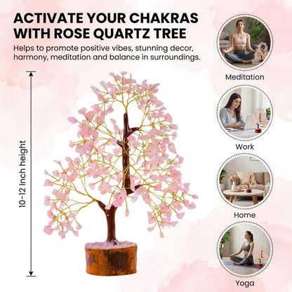 ANAYA AGATE 7 Chakra Healing Crystal Tree of Life Kit, Bracelet, Pendant, Necklace, Feng Shui Money Bonsai Tree, Positive Energy for Women, Mom, Sister and Housewarming Decoration