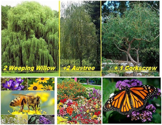 EarthCare - Carbon Neutral Imprint Kit - Counteract Your Carbon Footprint by Planting 6 Trees and a Perennial Butterfly Garden. Easy and Fun.
