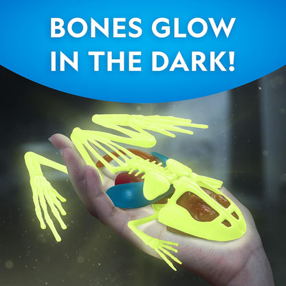 National Geographic Shark Dissection Kit – Glow in the Dark Great White Shark Anatomy Lab with 12 Bones & Organs, Refill Pack, Kid-Friendly Tools & Learning Guide