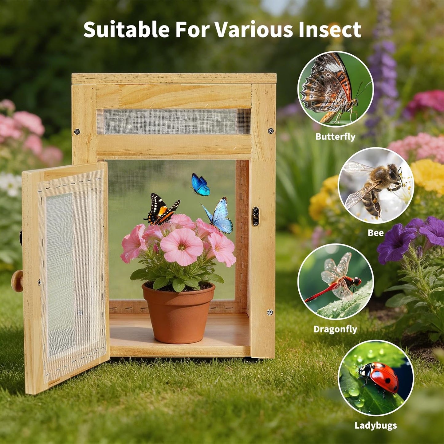 Small Butterfly Growing Kit - Butterfly Habitat Cage Kit