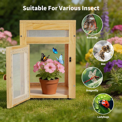 Small Butterfly Growing Kit - Butterfly Habitat Cage Kit