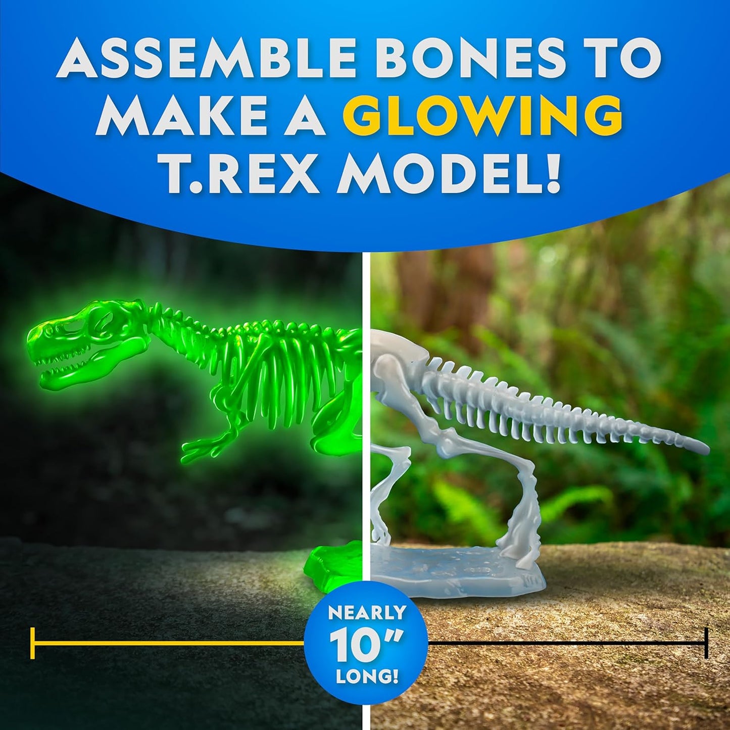 National Geographic Shark Dissection Kit – Glow in the Dark Great White Shark Anatomy Lab with 12 Bones & Organs, Refill Pack, Kid-Friendly Tools & Learning Guide