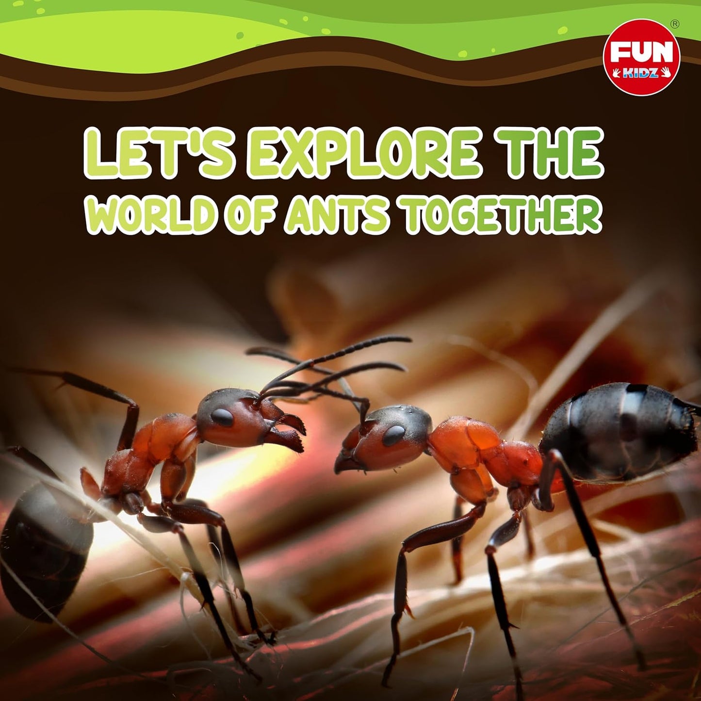 Science Ant Farm Kit for Live Ants, FunKidz Ant Colony Habitat Kit for Kids Gel Bug Terrarium House Watch Ants Dig Tunnels Entomology Learning Toys for Boys Gift