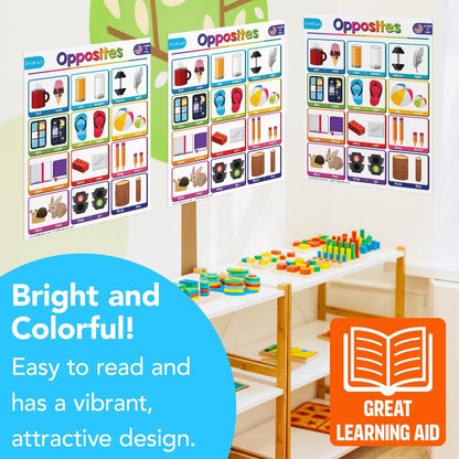 Multiplication Chart Math Table Poster – Double-Sided Educational Visual/Learning Aid Poster, Bright and Colorful | Glossy Durable Cardstock | 8.5 x 11" | 5 per Pack