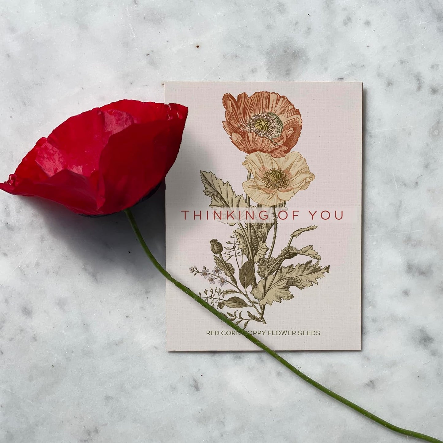Grateful Memories Dove with Bird and Butterfly Mix Seed Favor Packets - Gardening Gifts - Wild Flower Seeds for Planting - Garden or Indoor Plant Flowers - Growing Plants in Memory