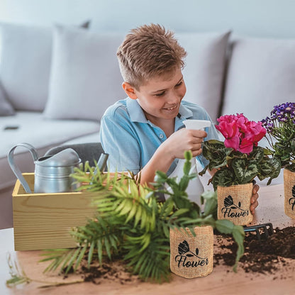Meekear Indoor Starter 4 Kit with Complete Gardening Kit & Wooden Box, Growing into Shasta Daisy, Cornflower, Sunflower, Zinnia