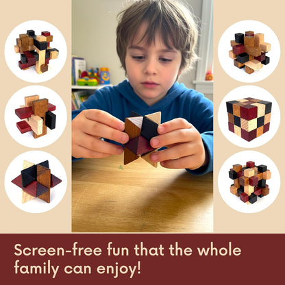 Wooden Brain Teaser Puzzles 6 Pack - 3D Brain Teasers for Adults & Kids - Educational and Fun Gift Ideas - Mind Puzzles by LMC Products