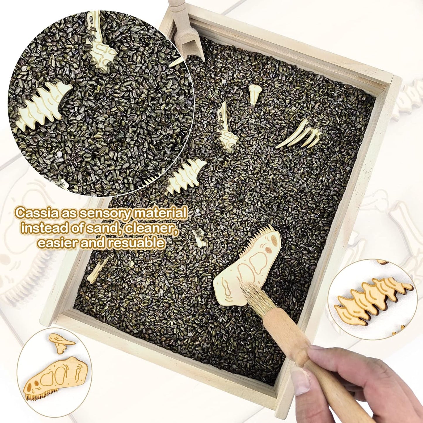 Dinosaur Excavation Archaeology Dig Kit for Kids, Fossil Explore Sensory Bin Toys, Dino Skeletons Bones Puzzle Game, Archaeology Science STEM Toys for Boys and Girls (Stegosaurus)