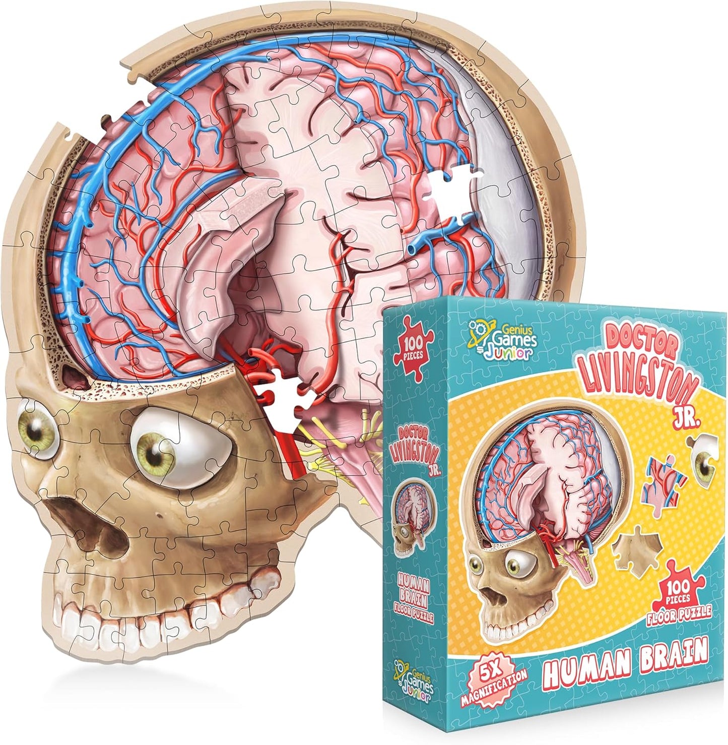 Human Anatomy Kids Floor Puzzle - Dr Livingston Jr's 100-Piece Full Body Jigsaw Puzzle - 4 FT Medically Accurate Floor Puzzles for Kids Ages 6-8, 4-8, 8-10 - Educational Toys for Children, Toddlers