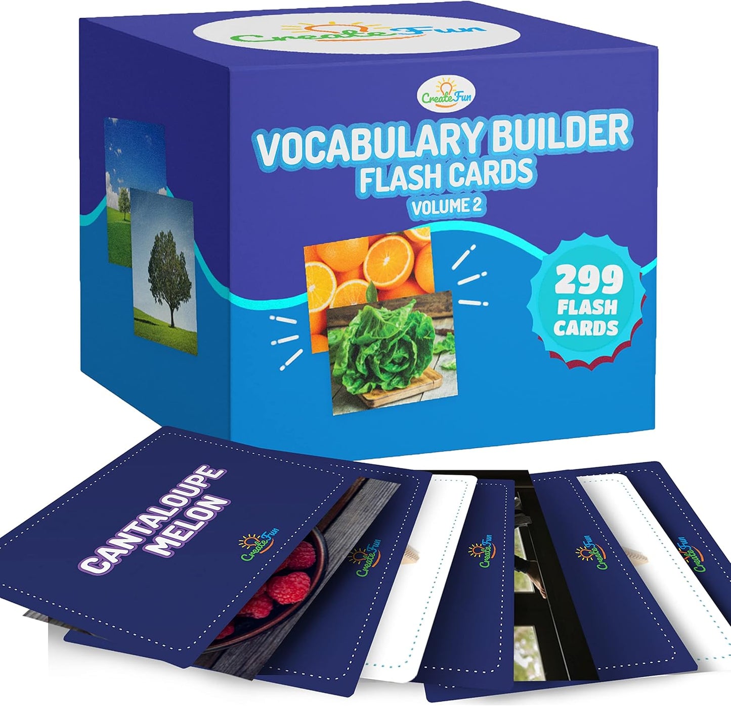 299 Vocabulary Builder Flash Cards, Educational Photo Cards for Home, Speech Therapy Materials, ESL Teaching Materials Includes Emotions, Matching Go Togethers, Nouns, Opposites, Prepositions, Verbs