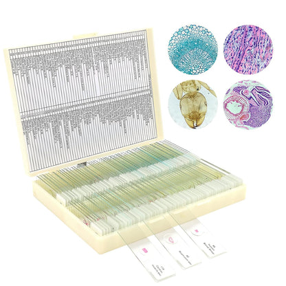 30 Microscope Slides with Specimens for Kids, Prepared Microscope Slides for Kids Microbiology, Glass Slides for Microscope, Biology Gifts for Adults Kids