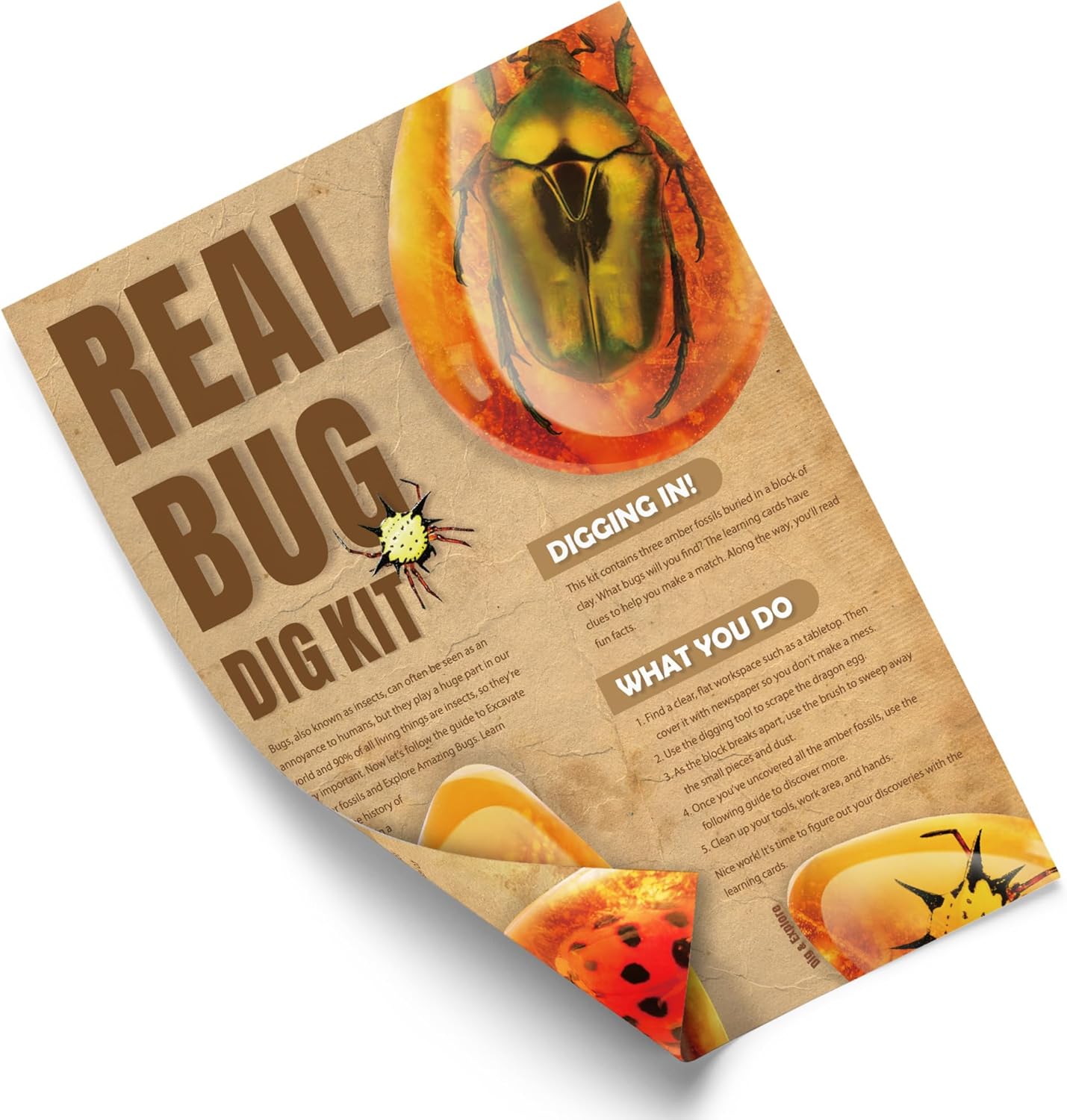 Real Amber Bug Dig Kit for Kids - STEM Science Toy with 3 Genuine Insect Specimens Preserved in Resin - Archaeology Excavation Activity - Educational Gift for Boys & Girls Ages 6+