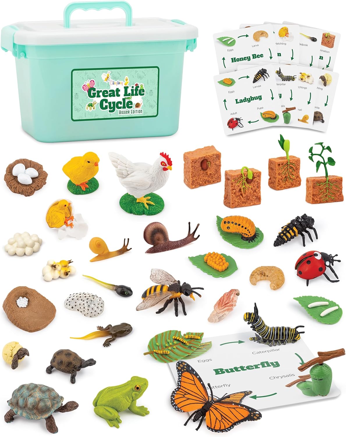 Life Cycle Animal Kit - Montessori Science Toy with 24-Piece Matching Game, Butterfly, Frog, Chicken, Bee, Ladybug and Turtle STEM Educational Gift, Easter Basket fillers for Kids Ages 3-8