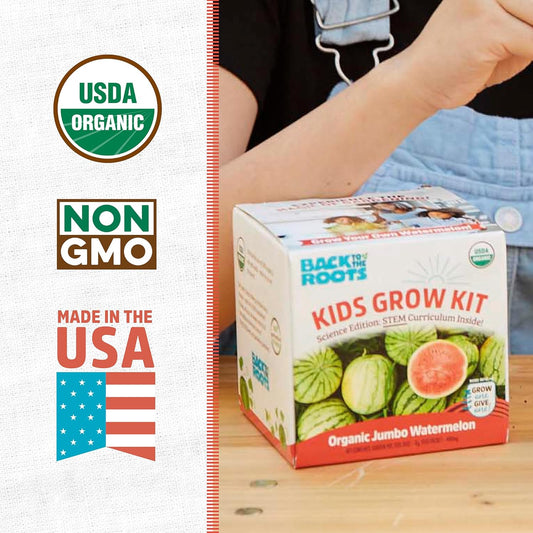 Back to the Roots Terrarium Grow Kit - Easy-to-Use DIY Set for All Ages Small