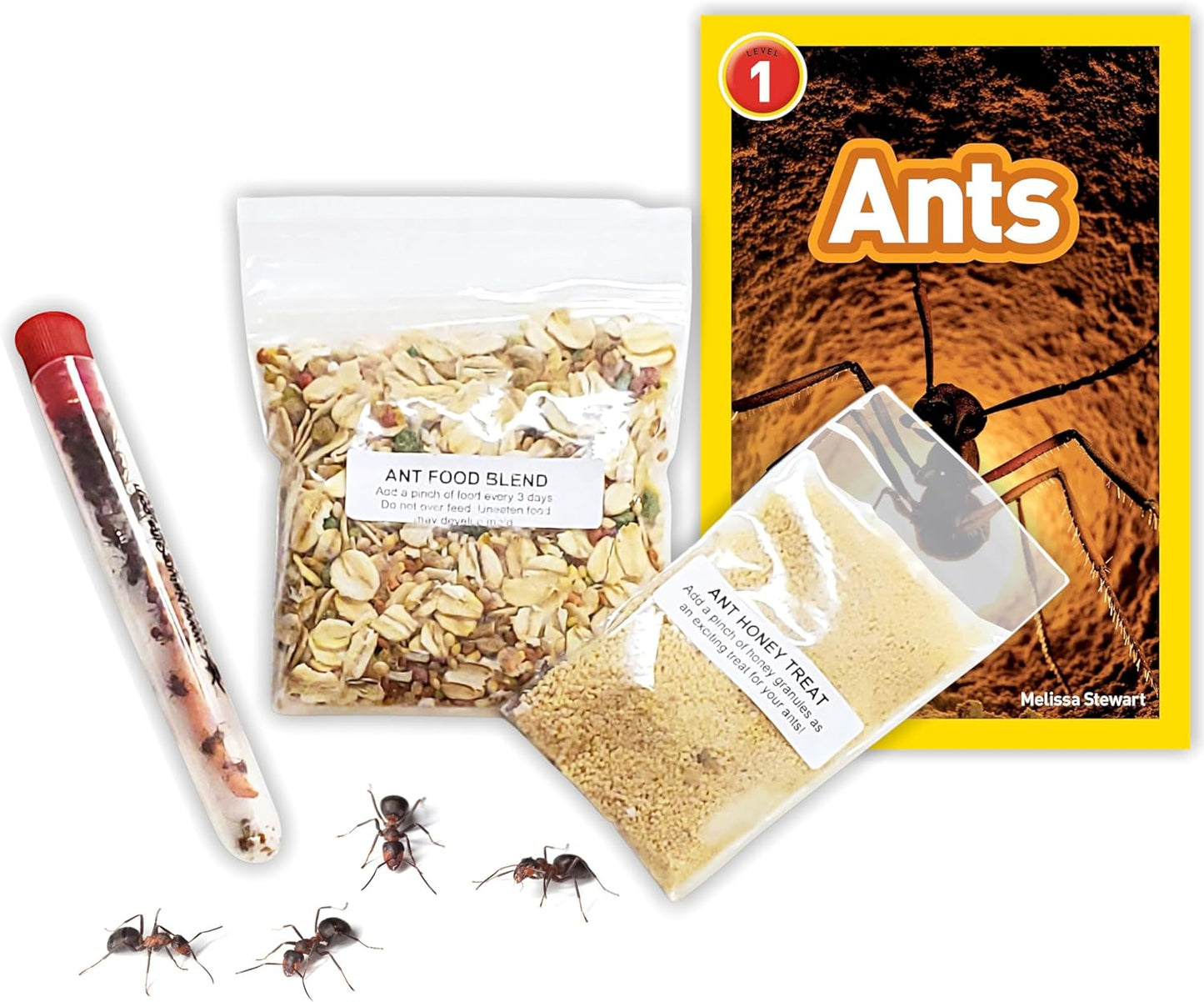 1 Tube Live Ant Farm Ants Plus Ant Food-Bundle
