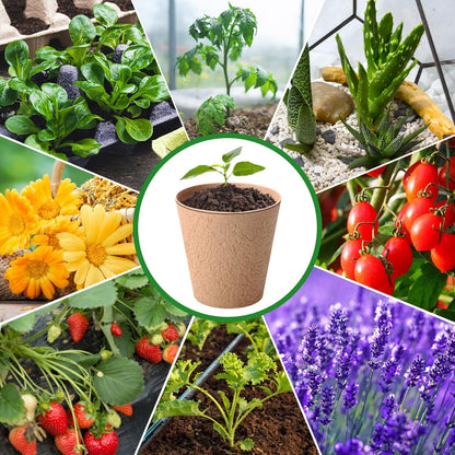 72 Pcs 4 Inch Garden Paper Pot Craft Kit Spring Crafts Bulk Including Round Paper Mache Pots Adhesive Foam Sticker EVA Grass Sticker Mother's Day DIY Planting Growing Garden Kit