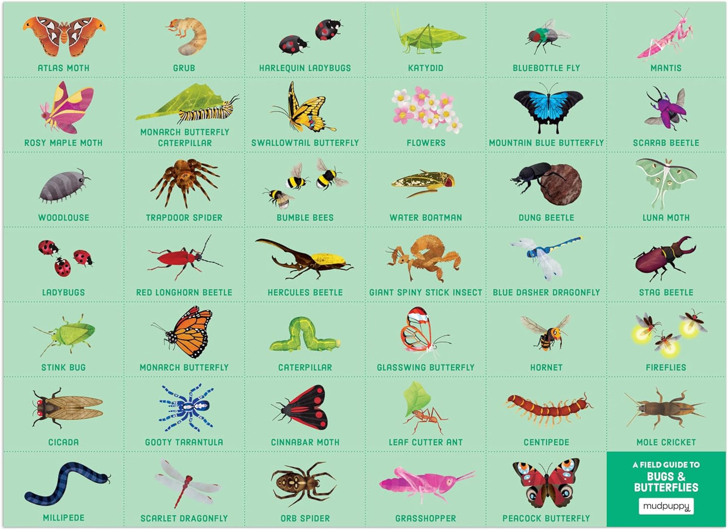 Mudpuppy Rainforest — 64 Piece Search & Find Puzzle Jigsaw Puzzle Featuring Diverse and Exotic Rainforest Animals and Over 40 Hidden Images to Find for Ages 4+